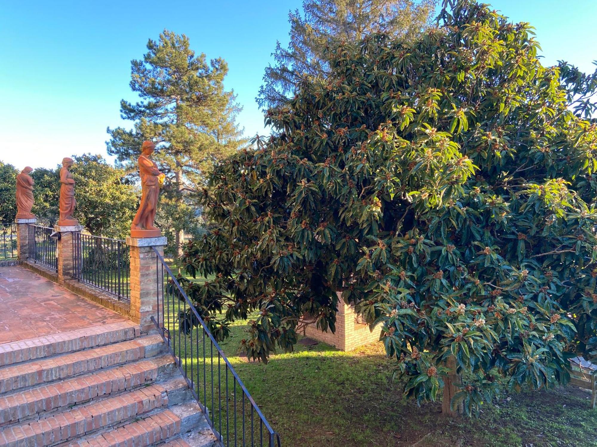 Country Residence La Torre alle Tolfe Sienne Extérieur photo